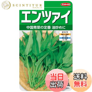 �y���������z�T�J�^�̃^�l ������ �G���c�@�C + �t�}�L���[ �J�_�� �����엿��ؗp 500g �Z�b�g �F�Fgreen�A�T�C�Y�F13ml