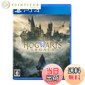 �y���������z�z�O���[�c�E���K�V�[ - PS4 �F�F�y����z�Ȃ��A�T�C�Y�F�ʏ��