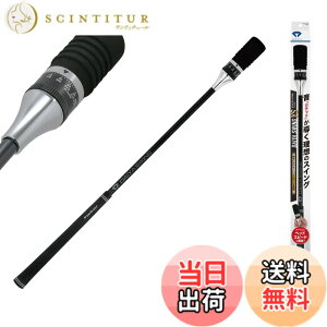 �y���������z�y��������v���E��ѕ��ߎq�v�� �����z�_�C���S���t(DAIYA GOLF) �_�C���X�C���O�V���[�Y �h���C�o�[�̔򋗗��A�b�v ���Ȃ� �w�b�h�X�s�[�h �X�C���O���K��� �S���t���K��� TR