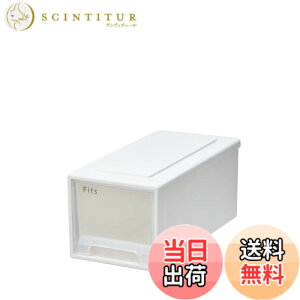 �y���������z�t�B�b�c�P�[�X 53-39M STORAGE_BOX �F�F01_�z���C�g�N���A�A�T�C�Y�F01_����