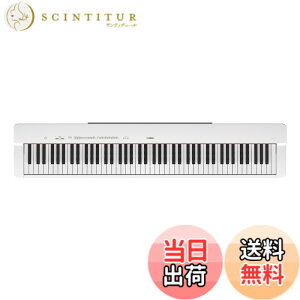 �y���������z���}�n �d�q�s�A�m P-225B�{�� �F�F�z���C�g