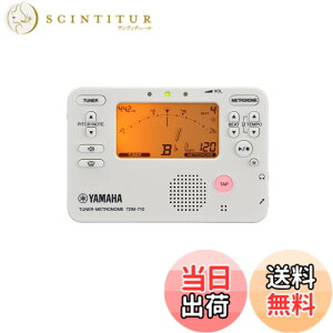 �y���������zYAMAHA TDM-710 �F�F�A�C�{���[