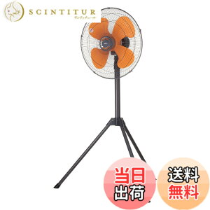 �y���������z�L�d(KODEN)�����H���H�Ɛ� �F�F�_�[�N�O���C�A�T�C�Y�F�O�r�^