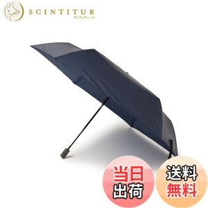 �y���������z[�V�b�v�X] �A���x�� Amvel VERYKAL LARGE �܂肽���ݎP �����Y 710280002 �l�C�r�[ ONE SIZE �F�F�l�C�r�[�A�T�C�Y�F�����T�C�Y