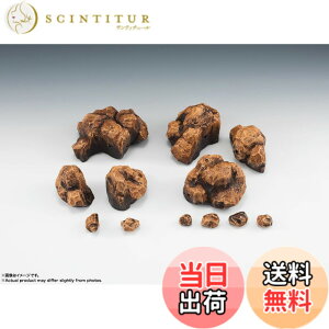 �y���������zTAMASHII NATIONS ��EFFECT ROCK Beige Ver. for S.H.�t�B�M���A�[�c �m���X�P�[�� ABS&PVC�� �h���ς݊����i�t�B�M���A �F�F�x�[�W��