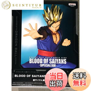 �y���������z�o���v���X�g �h���S���{�[���� BLOOD OF SAIYANS SPECIAL XII ���T�C���l�����