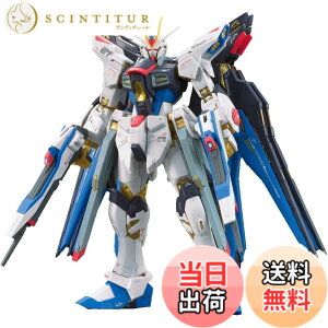 �y���������zRG �@����m�K���_��SEED DESTINY ZGMF-X20A �X�g���C�N�t���[�_���K���_�� 1/144�X�P�[�� �F�����ς݃v�����f�� �F�F�S�[���h�A�T�C�Y�F1�� (x 1)