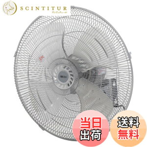 �y���������z�L�d(KODEN)�A���~�H���H�Ɛ� �F�F���C�g�O���C�A�T�C�Y�F�Ǌ|�^