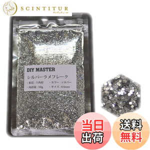 �y���������zDIY MASTER ���C���{�[ ���� �t���[�N 0.4mm 50g �F�F5.�V���o�[�����t���[�N�A�T�C�Y�F05.�y0.6mm�z50g