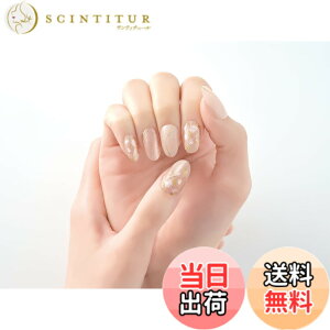 �y���������zBEAUTYAVENUE�i�r���[�e�B�[�A�x�j���[�j���C�g���v��Ȃ� �W�F���l�C���V�[�� �n���h�p 24pcs �F�F�����E�����E�x�[�W���A�T�C�Y�F24�� (x 1)