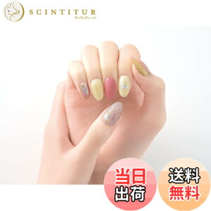 �y���������zBEAUTYAVENUE�i�r���[�e�B�[�A�x�j���[�j���C�g���v��Ȃ� �W�F���l�C���V�[�� �n���h�p 24pcs �F�F���u�u���X�S�[���f�B�[�A�T�C�Y�F24�� (x 1)