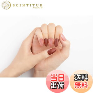 �y���������zBEAUTYAVENUE�i�r���[�e�B�[�A�x�j���[�j�W�F���l�C���V�[�� �n���h�p 24pcs (�s���L�b�V���{���h�[) �F�F�s���L�b�V���{���h�[�A�T�C�Y�F24�V�[�g (x 1)
