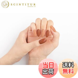 �y���������zBEAUTYAVENUE(�r���[�e�B�[�A�x�j���[)���A���W�F���l�C���V�[�� (�N���[�~�[�A�[�����h) �F�F�}���`�J���[�A�T�C�Y�F24�V�[�g (x 1)