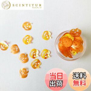 �y���������zJP-Halloween Shape-10gP �F�FPumpkin