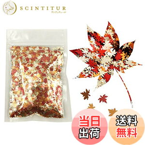 �y���������zJP-PlantGroup-10gP �F�Fleaf-LB001