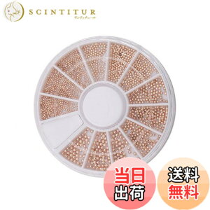 �y���������z1�{�b�N�X12�O���b�h�X���[���X�`�[���r�[�Y�l�C�����^���p�b�` - DIY�l�C���W���G���[�A�N�Z�T���[�ޗ��̃l�C���X�e�b�J�[�{�b�N�X �F�F���F�A�T�C�Y�F�X�^�C�� B#