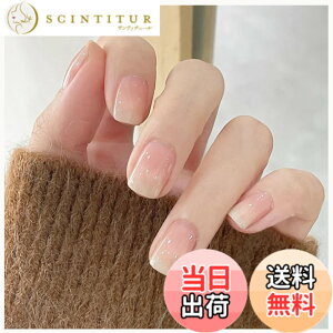�y���������zMISS MUMU �l�C���`�b�v 24���� �l�C���`�b�v �V���[�g �t�� �V���v�� ���킢�� �l�C �l�C���V�[�� �ԉŃl�C�� ���� ���� ���l�� ������ ���w�� ���Ǝ� �p�[�e�B�[ �ł��܂� �F�F