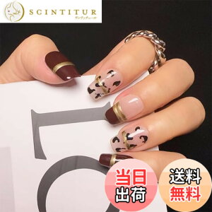 �y���������z2IM Studio �l�C���`�b�v 10���� �E�l�d�グ �a���~�j�}���f�U�C�� ��i�V���v�� �i�q�� �_�C�������h �O���f�[�V���� �o�^�t���C �嗝�Ε� ���I�p�[�h�� �~�f�B�A���E�V���[�g�T