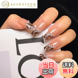 �y���������z2IM Studio �l�C���`�b�v 10���� �E�l�d�グ �a���~�j�}���f�U�C�� ��i�V���v�� �i�q�� �_�C�������h �O���f�[�V���� �o�^�t���C �嗝�Ε� ���I�p�[�h�� �~�f�B�A���E�����O�T�C