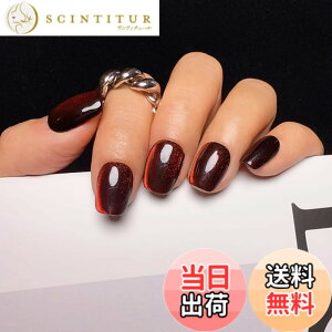 �y���������z2IM Studio �l�C���`�b�v 10���� �E�l�d�グ �a���~�j�}���f�U�C�� ��i�V���v�� ����T������ �t�H�g�E�F�f�B���O ������ ���l�� �I�t�B�X�l�C�� ���Ǝʐ^ �f�[�g �V���b�s���O