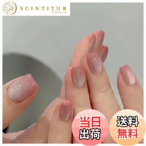 �y���������zMISS MUMU �l�C���`�b�v 24���� �l�C���`�b�v �����O �t�� �V���v�� ���킢�� ������� �l�C �l�C���V�[�� �ԉŃl�C�� ���� ���� ���l�� ������ ���w�� ���Ǝ� �p�[�e�B�[ �ł���
