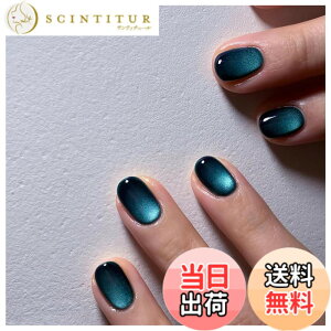 �y���������zMISS MUMU �l�C���`�b�v 24���� �l�C���`�b�v �V���[�g �t�� �V���v�� ���킢�� �l�C �l�C���V�[�� �ԉŃl�C�� ���� ���� ���l�� ������ ���w�� ���Ǝ� �p�[�e�B�[ �ł��܂� �F�F
