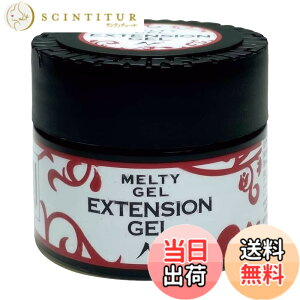 �y���������zMelty Gel �C�N�X�e���V�����W�F�� 14g UV/LED�Ή� �F�F�N���A