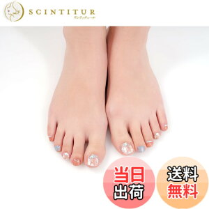 �y���������z[BeautyAvenue] �t�b�g�p 31pcs �F�F�A���W�����[�A�T�C�Y�F31�V�[�g (x 1)