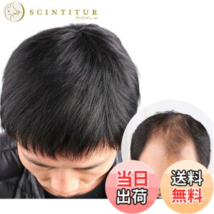 �y���������zAISIHAIR �E�B�b�O�����Y �V���[�g �w�A�s�[�X �j���p�E�B�b�O ��×p �� �Z�� �ʋC�� �g�b�v�J�o�[ �F�F�X�e���X��A�����R�� 13*14�A�T�C�Y�F13*14