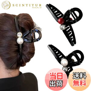 �y���������z�w�A�N���b�v �傫�� ��������Ƃ܂� 2�Z�b�g�A�w�A�A�N�Z�T���[�A��l�����A�w�A�L���b�`�A�������A�����߃N���b�v (�T���S) �F�F�T���S�A�T�C�Y�FB0DF1WFYPL