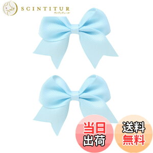 �y���������zGFun ������ ���{�� ������ �q�� �`�A 2�Z�b�g �N���b�v �w�A�A�N�Z�T���[ �o���b�^ �� ������ ������ ���\�� ���� �m�� �F�F�X�J�C�u���[
