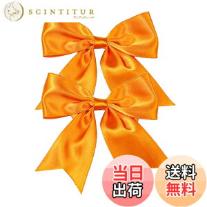 �y���������zGFun ������ ���{�� ������ �q�� �T�e�� �`�A 2�Z�b�g �N���b�v �w�A�A�N�Z�T���[ �o���b�^ �� ������ ������ ���\�� ���� �m�� �F�F�I�����W