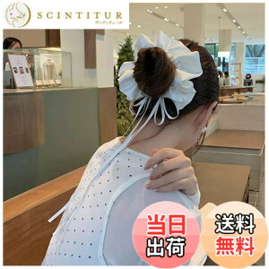 �y���������zMISS MUMU�w�A�S�� ���ɗD���� �V���V�� ������ ���{�� ���S�� ���{�� �Ղ����Ȃ� �V���N���� ���e�� ������� ��l ���� ���� ���� ���w�� ���Ǝ� �؍��� ���̊� �F�F�~�[�z��