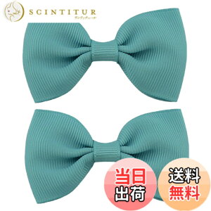 �y���������zGFun ������ ���{�� ������ �� �q�� 2�Z�b�g �N���b�v �w�A�A�N�Z�T���[ �o���b�^ �� ������ ������ ���\�� ���� �m�� �F�F�V���h�E�u���[