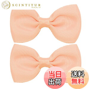�y���������zGFun ������ ���{�� ������ �� �q�� 2�Z�b�g �N���b�v �w�A�A�N�Z�T���[ �o���b�^ �� ������ ������ ���\�� ���� �m�� �F�F�V�i�����s���N