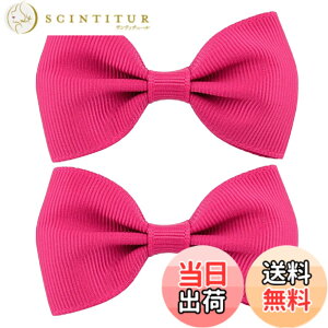 �y���������zGFun ������ ���{�� ������ �� �q�� 2�Z�b�g �N���b�v �w�A�A�N�Z�T���[ �o���b�^ �� ������ ������ ���\�� ���� �m�� �F�F���[�Y�s���N
