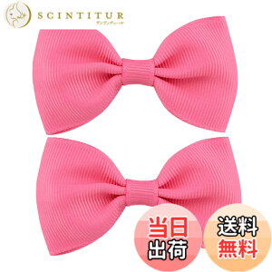 �y���������zGFun ������ ���{�� ������ �� �q�� 2�Z�b�g �N���b�v �w�A�A�N�Z�T���[ �o���b�^ �� ������ ������ ���\�� ���� �m�� �F�F�_�[�N�s���N