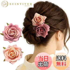 �y���������zGFun ������ �w�A�A�N�Z�T���[ �� �N���b�v 2�Z�b�g ���� �ԉΑ�� ������ �a�� ���l�� ���Ǝ� ������ ���\�� �m�� �F�F���[�Y�s���Nx�x�r�[�s���N