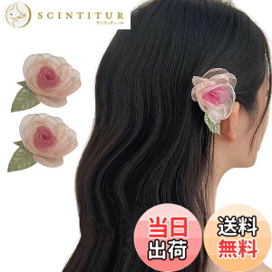 �y���������zGFun ������ �w�A�A�N�Z�T���[ �� �N���b�v 2�Z�b�g ���� �ԉΑ�� ������ �a�� ���l�� ���Ǝ� ������ ���\�� �m�� ���[�Y�Z�b�g