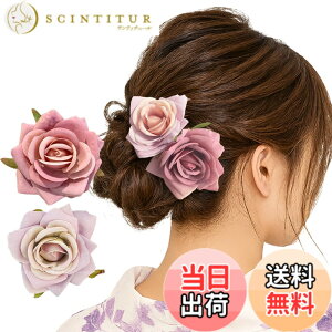 �y���������zGFun ������ �w�A�A�N�Z�T���[ �� �N���b�v 2�Z�b�g ���� �ԉΑ�� ������ �a�� ���l�� ���Ǝ� ������ ���\�� �m�� �F�F���[�Y�s���Nx���C�g�p�[�v��