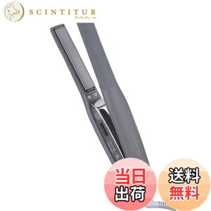 �y���������z�e�X�R�� �w�A�A�C���� �X�g���[�g�A�C���� �v���e�N�g�C�I�� 15mm �C�O�Ή� ���x����/���b�N/�������[�@�\ ����OFF �J���b�N NIS300A ���N�����v���O Nobby by TESCOM �F�F�X���[�L�[
