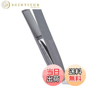 �y���������z�e�X�R�� �w�A�A�C���� �X�g���[�g�A�C���� �v���e�N�g�C�I�� 25mm �C�O�Ή� ���x����/���b�N/�������[�@�\ ����OFF �J���b�N NIS500A ���N�����v���O Nobby by TESCOM �F�F�X���[�L�[