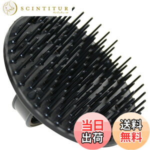 �y���������zJack Dean by Denman (Black) Scalp Massager and Detangling Hair Brush for Thick or Thin Hair, Curly or Straight Hair - use in the Shower or Bath - Head and Beard Scrubber - For Women and Men, D6 �F�F�u���b�N�A�T�C�Y�F1�� (x 1)