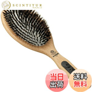 �y���������zGB KENT �P���g �p��������p�B 100%�ؖ� �~�f�B�A���u���b�X�� �N�b�V�����w�A�u���V Perfect for Your Hair�V���[�Y PF07 �F�F���F�A�T�C�Y�F�� 25.0 x 7.5cm