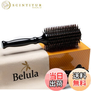 �y���������zBelula Boar Bristle Round Brush for Blow Drying Set. �F�F�傫�ȃo���� 2.7�C���`�A�T�C�Y�FLarge (Pack of 1)