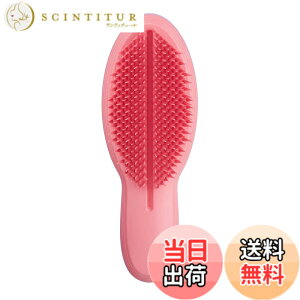 �y���������zTANGLE TEEZER �^���O���e�B�[�U�[ �U�E�A���e�B���b�g �F�F�A�C���X�s�[�`�A�T�C�Y�F1�� (x 1)