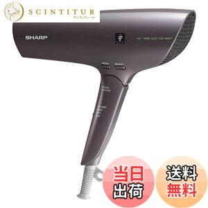 �y���������z�V���[�v �h���C���[ IB-WX3-N �F�F�N���V�b�N �p�[�v��