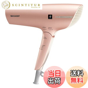 �y���������z�V���[�v �h���C���[ IB-WX3-N �F�F�N���V�b�N �s���N