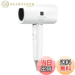 �y���������z�V���[�v �w�A�h���C���[ IB-WX901-B �F�F�X�^���_�[�h �z���C�g