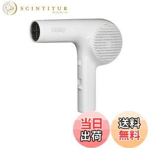 �y���������z�e�X�R�� Nobby �}�C�i�X�C�I�� �w�A�[�h���C���[ NB2100 1200W �h���C���[ �w�A�h���C���[ �m�r�[ �m�r�B �v���p NB2504 NB1501 ��p�@ �F�F�z���C�g